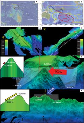 Control of Deep Currents on Sediment and Cold-Water Coral Distribution on the Northern Manihiki Plateau